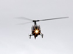 Mal began his display running straight in toward crowd centre.