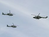 The second pair then follow                  the Lynx in formation....