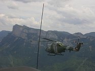 Eagle Lynx in the Alps