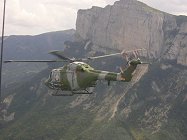 Eagle Lynx next to the Eagle's Tooth Mountain