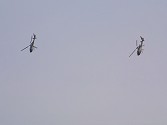 Kav and Terry were flying like one aircraft as the Gazelles perform the simultaneous bunts