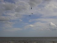 The Team over the sea, a new experience for this year.