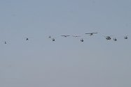 The Blue Eagles and Army Historic Aircraft Flight in the opening flypast.