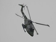 ....show off the sheer manoeuvrability of the aircraft.