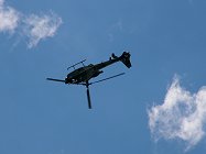 Gazelle in an Elphinstone loop.