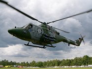 ....Lynx close up taxying