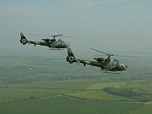 Kav's and Julie's Gazelles in tight formation