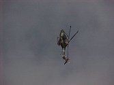 During the Lynx solo display, one of the unusual manoeuvres is a loop