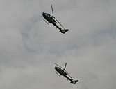 Al and Al going up....