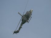 Ed and Graham's aerobatics in the Lynx....
