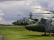 The team lifting off to display.