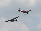 The Auster and Chipmunk in a close cross.