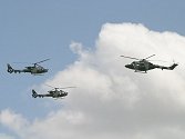 The Lynx is leading this formation, albeit backwards....