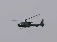 Mal flew the solo Gazelle display....