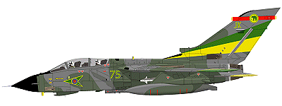 No 27 Sqn Tornado GR-1